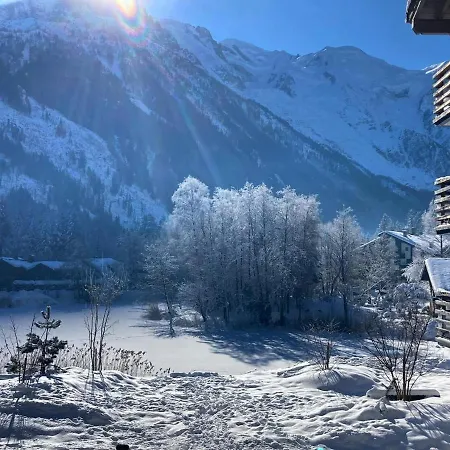 公寓 Praz Vue Mt Blanc Piscine *